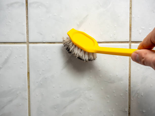 Best Black Mold Removal  in Clayton, NC