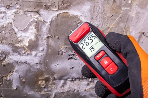 Best Mold Damage Repair  in Clayton, NC