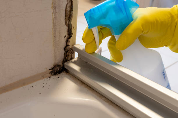 Water Damage Restoration in Clayton, NC