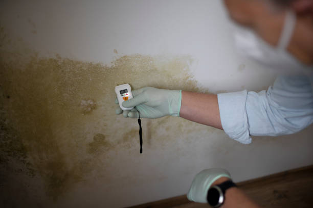 Crawl Space Mold Removal in Clayton, NC