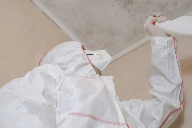 Best Crawl Space Mold Removal  in Clayton, NC
