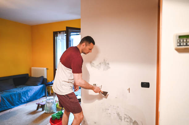 Best Water Damage Restoration  in Clayton, NC
